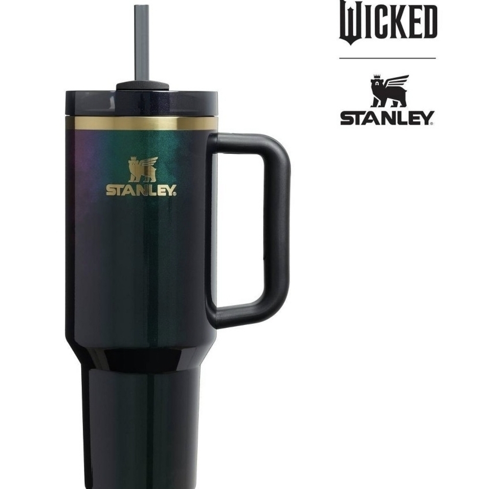 WICKED: FOR GOOD (SOLD OUT) Target Exclusive Elphaba 40oz Tumbler - Picture 7 of 8